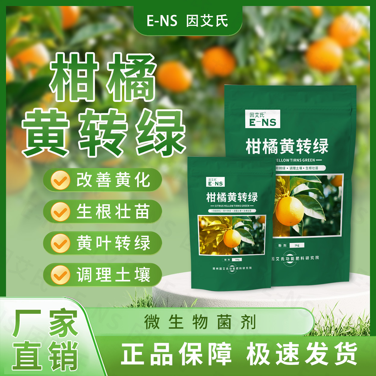 因艾氏柑橘黄转绿肥料改善黄化调理土壤树稳根壮果匀皮亮微生物肥