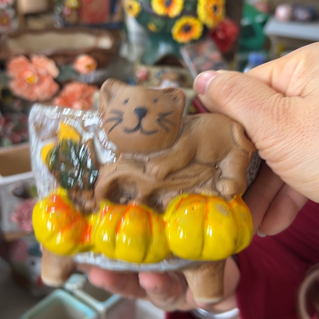 花盆，满20米发货爱退款拉黑