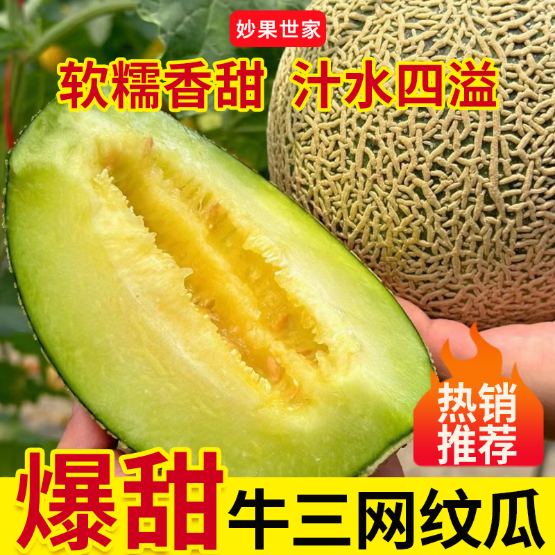 海南精品一级蜜瓜冰淇淋牛三网纹瓜新鲜采摘产地直发