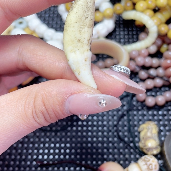 其他驼骨其他配饰