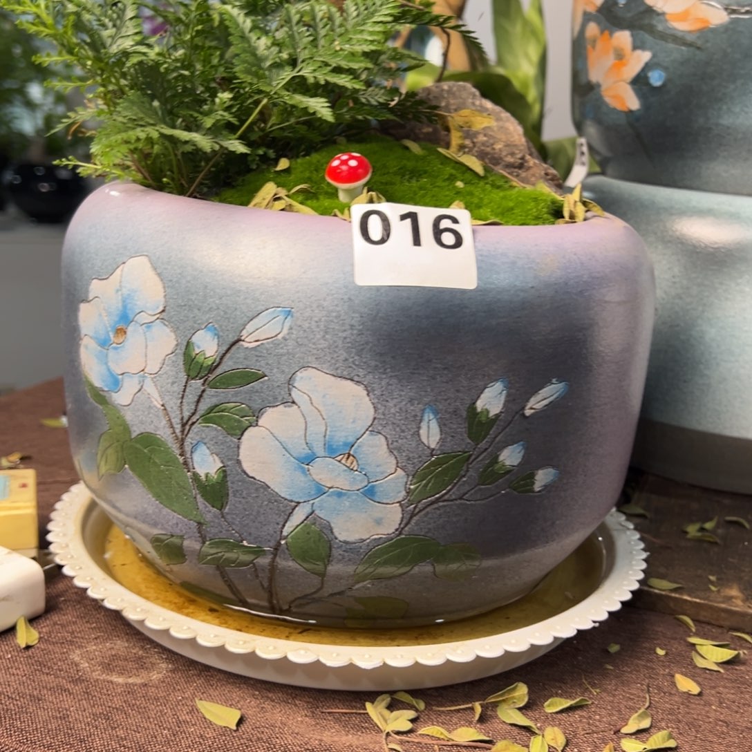 哦执照一执照一起执照我