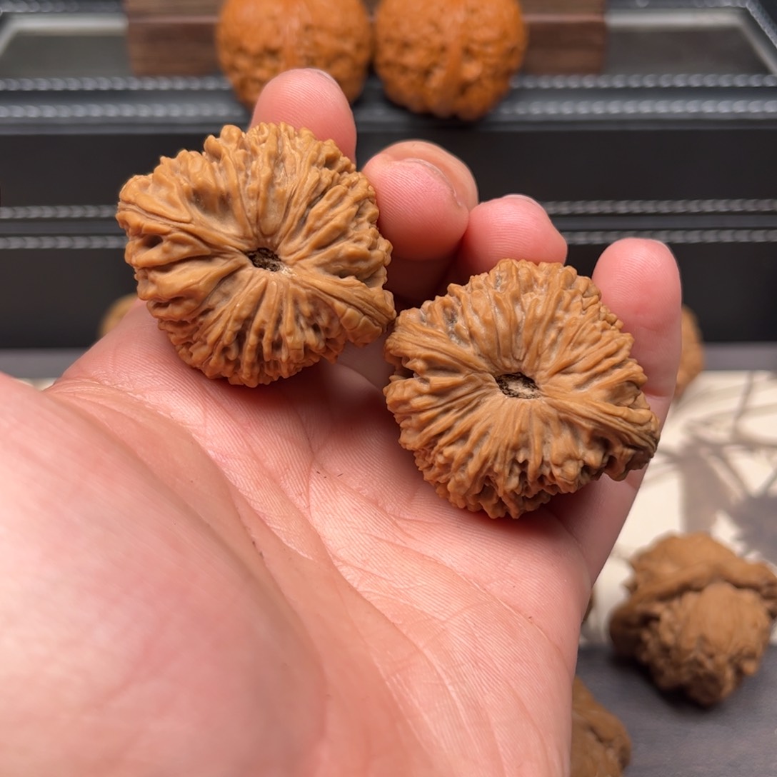 文玩核桃吊坠遛*弯41南将石