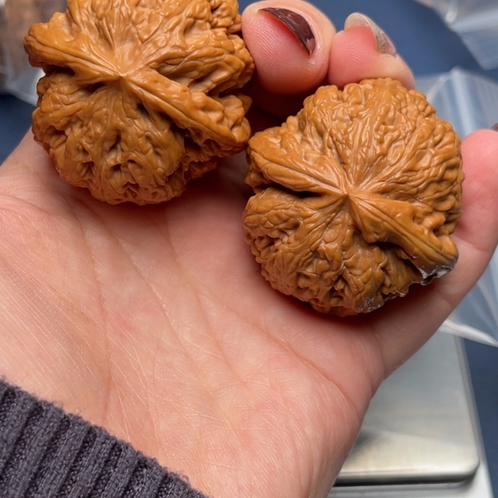 文玩核桃把件粗筋41