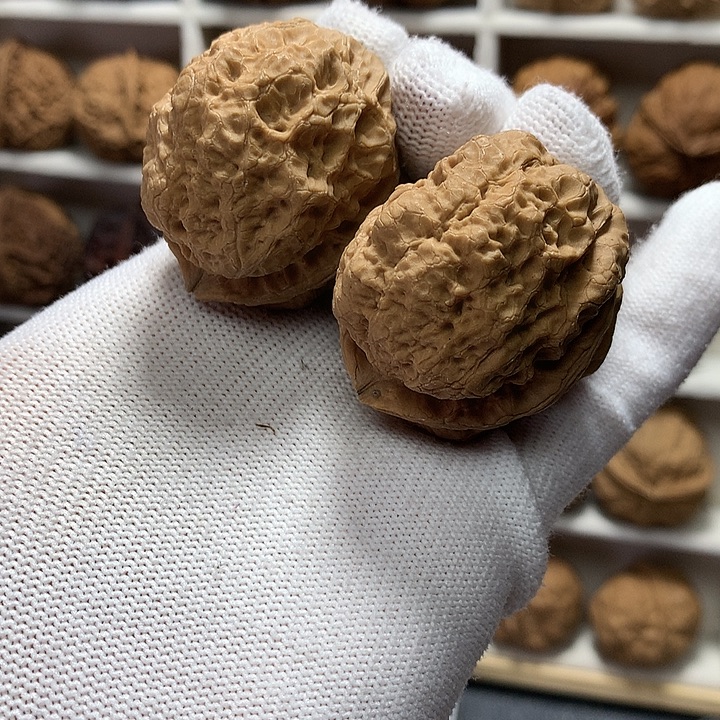 核桃44尺大肚肚胖蛙蛙4号