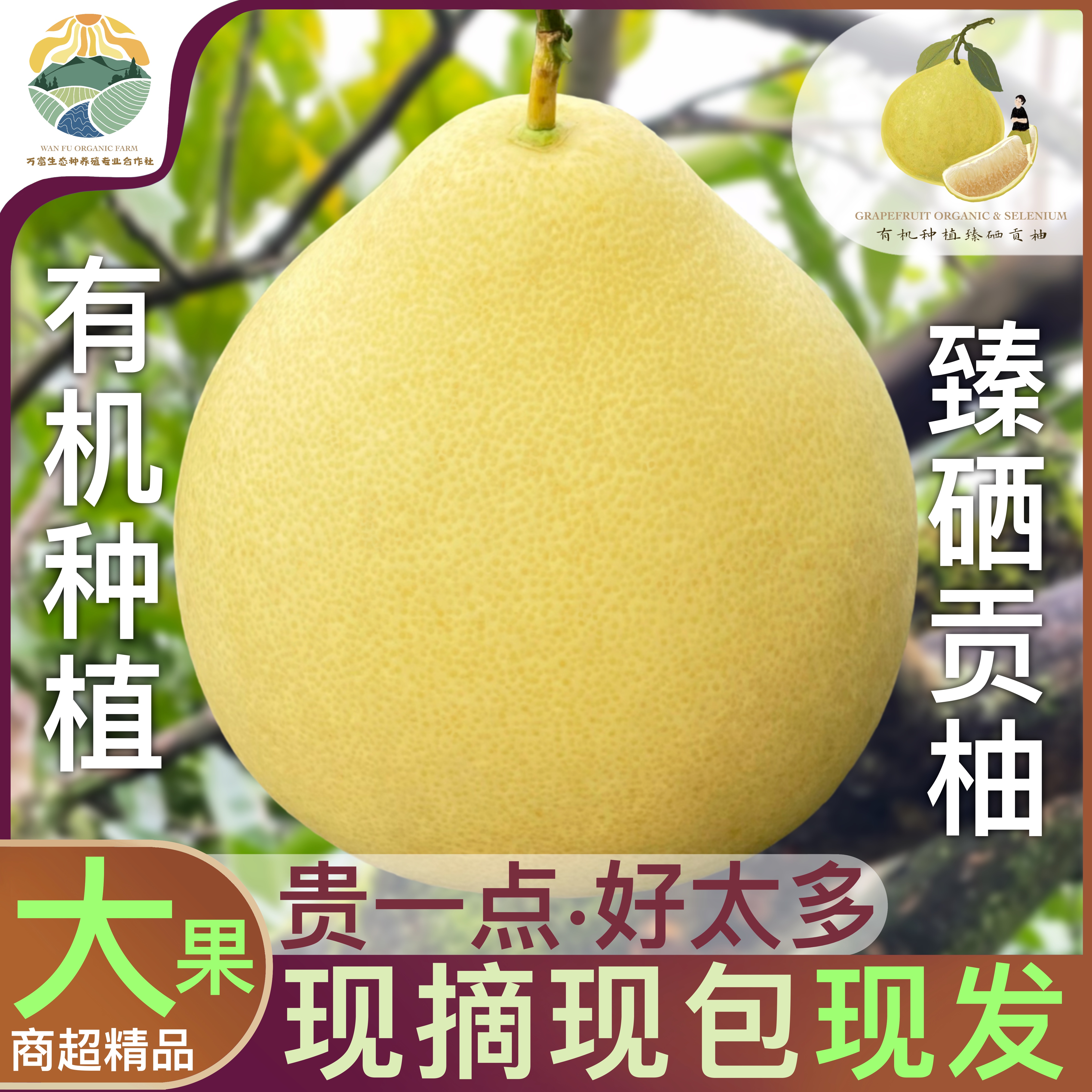 有机种植臻硒贡柚【0农残】果肉饱满汁水丰盈果园现采直发（大果）
