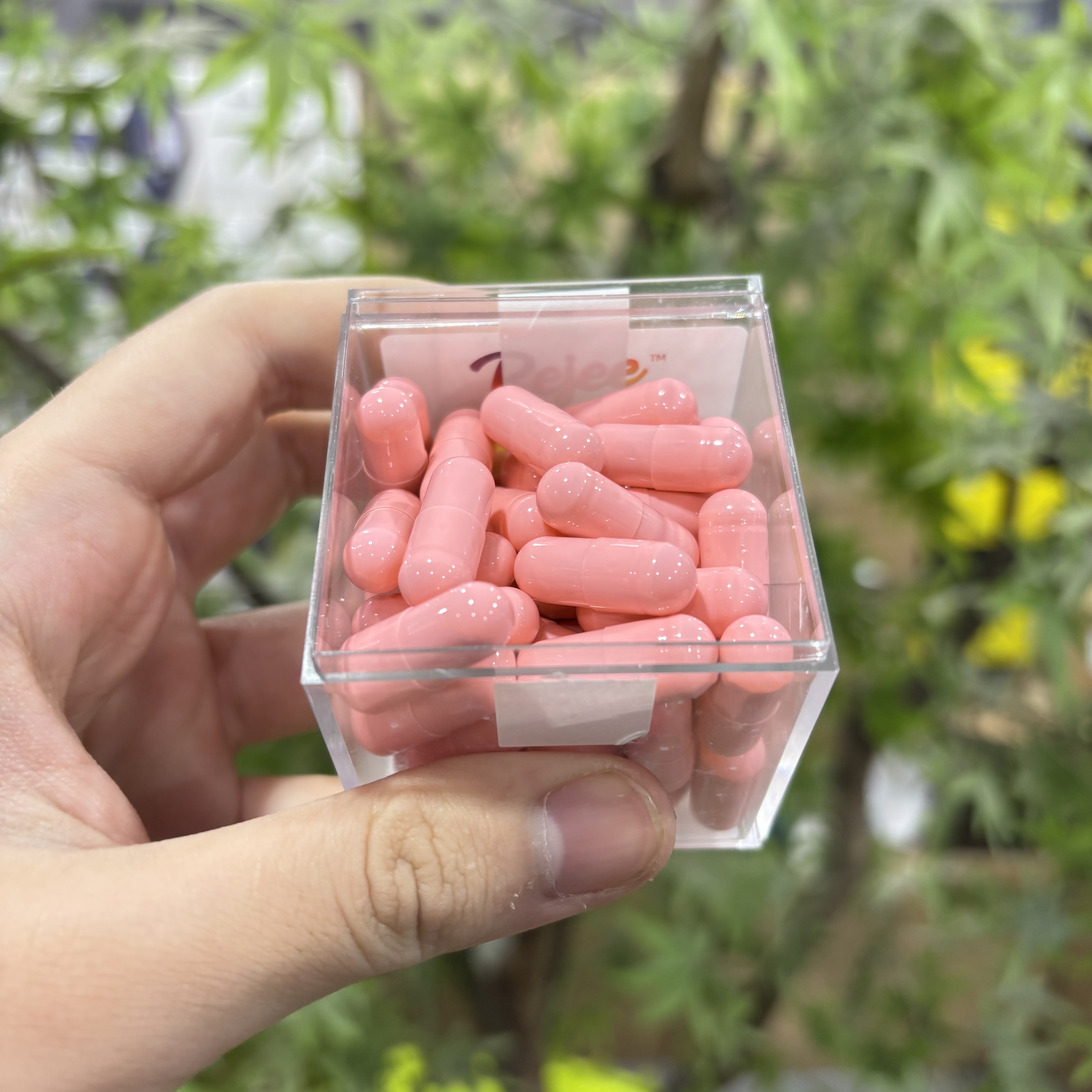 定制款！新款白豆豆糖果