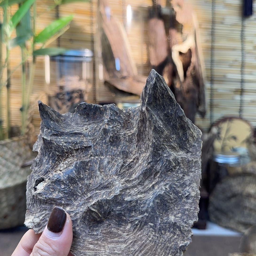 沉香碎屑沉香沉香老顶45g