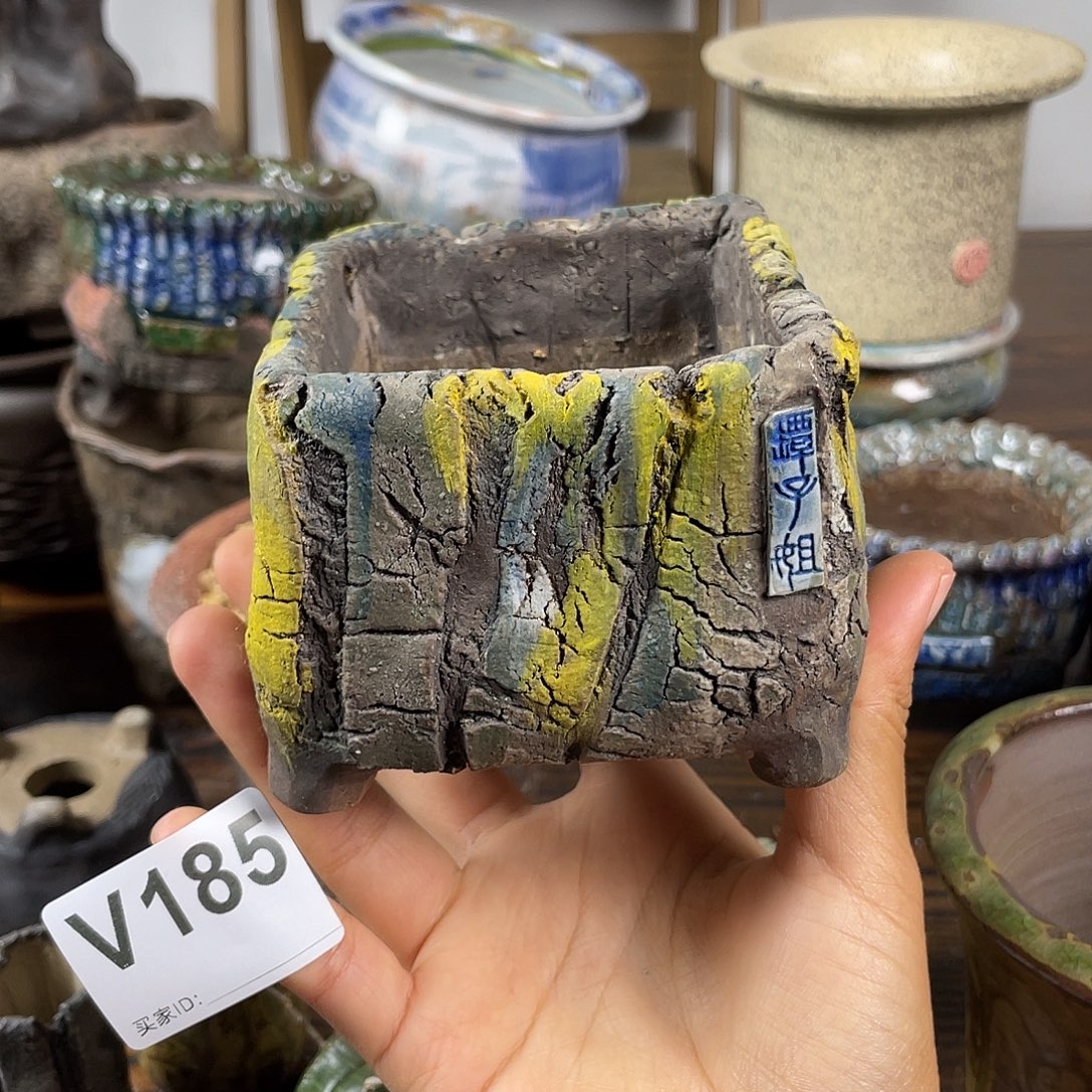 默认微次 限时福利 坛子姐花盆