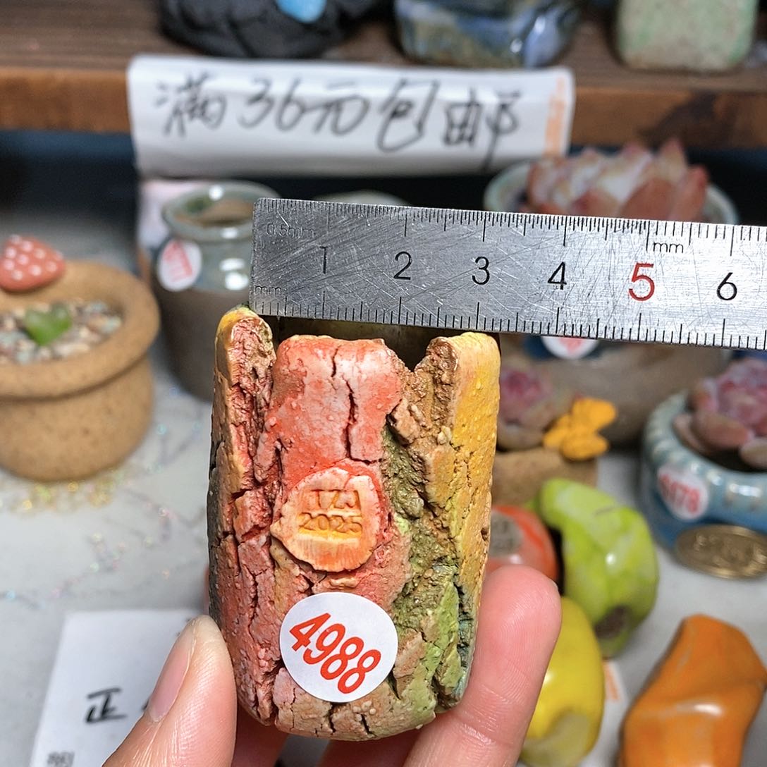 红陶拍5送一个小