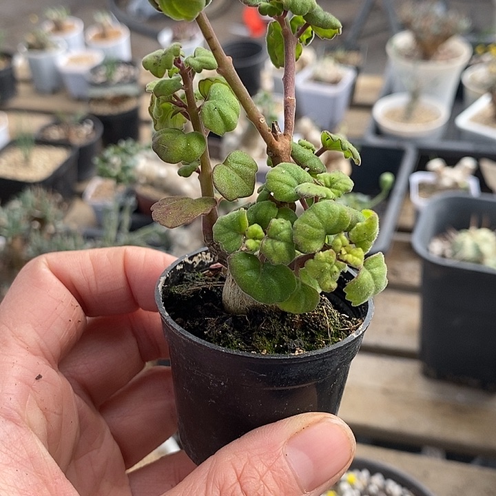 田****贵894爱一一一一一一一一一