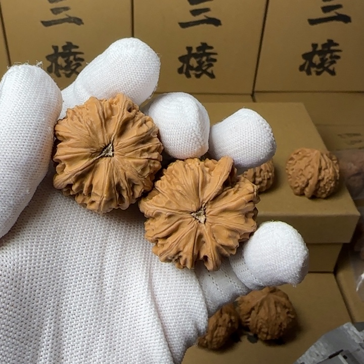 文玩核桃吊坠无****简单包装38尺寸玉龙三棱