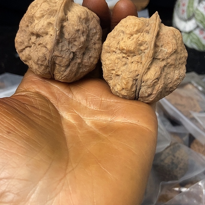 把件文玩核桃云南铁核桃基地50