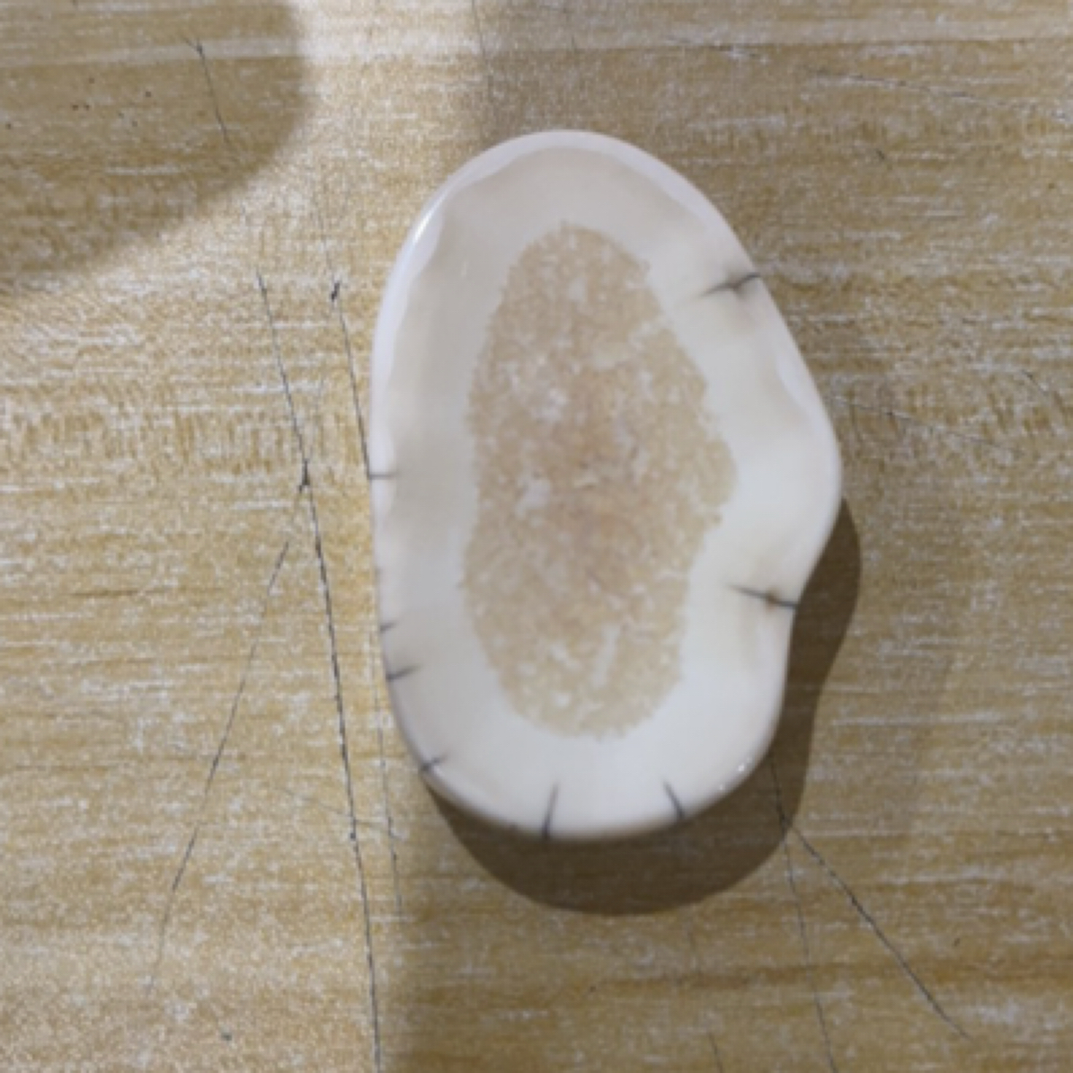 猛犸猛犸虬饼子tt16