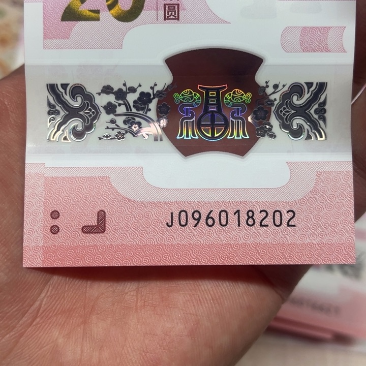 塑料蛇钞朦胧号裸钞096018202