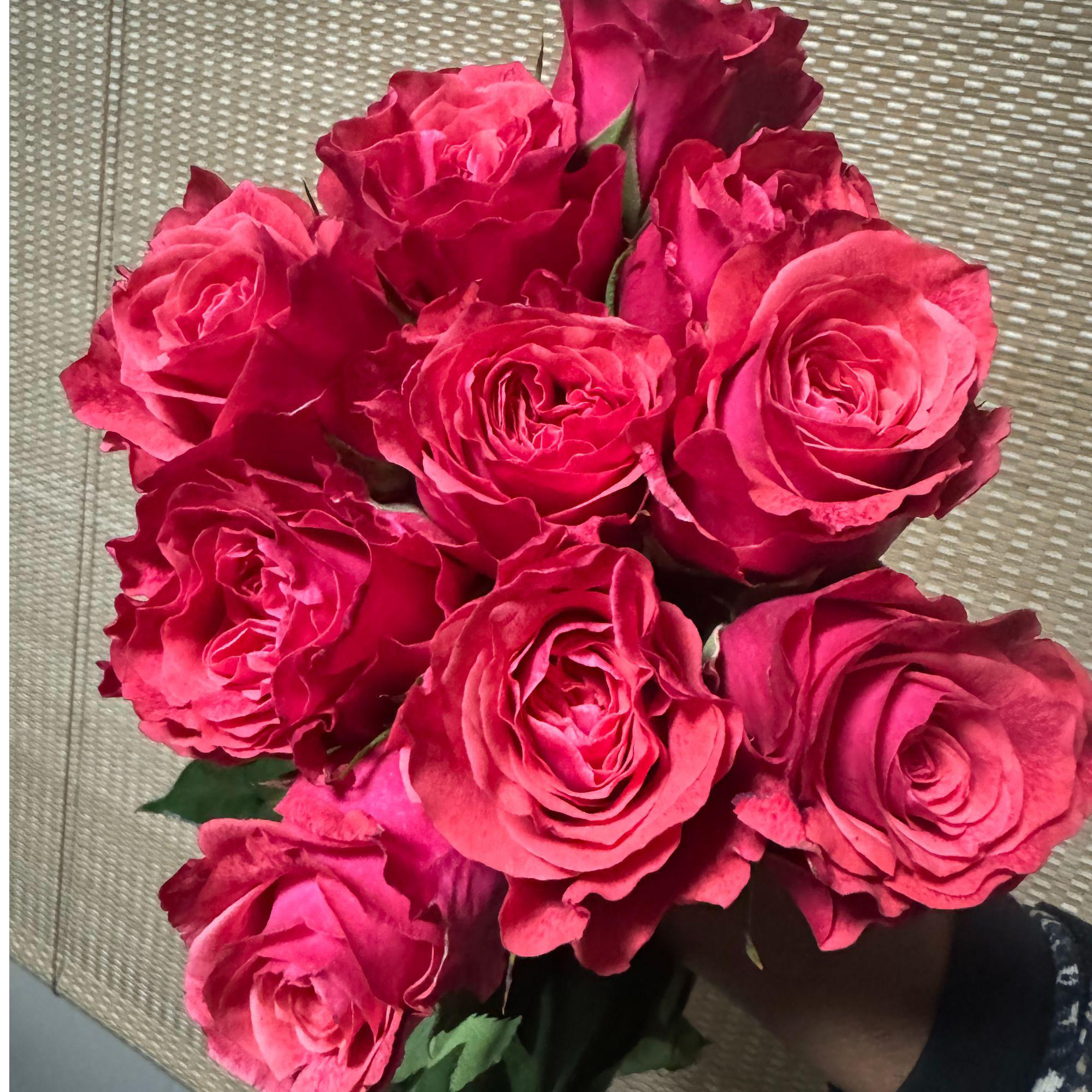 【银河系】切花月季灌木阳台庭院盆栽勤花四季开花
