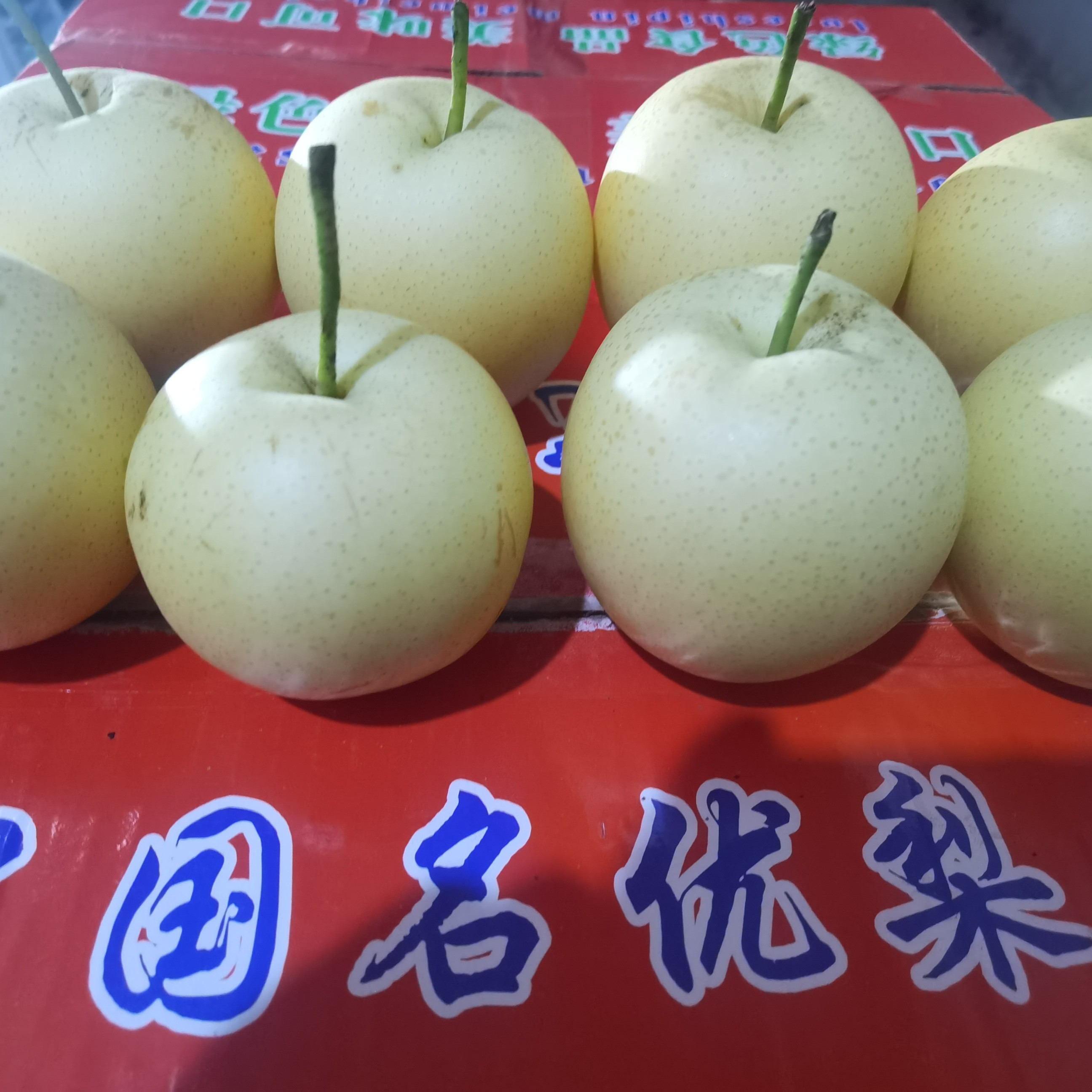 皇冠梨梨子应季水果好吃水果农副产品助农三农酥脆清甜皮薄爆汁