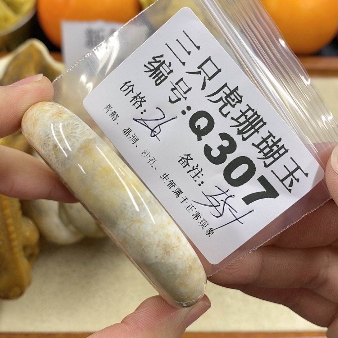 硅化珊瑚（珊瑚玉）1未镶嵌豆*