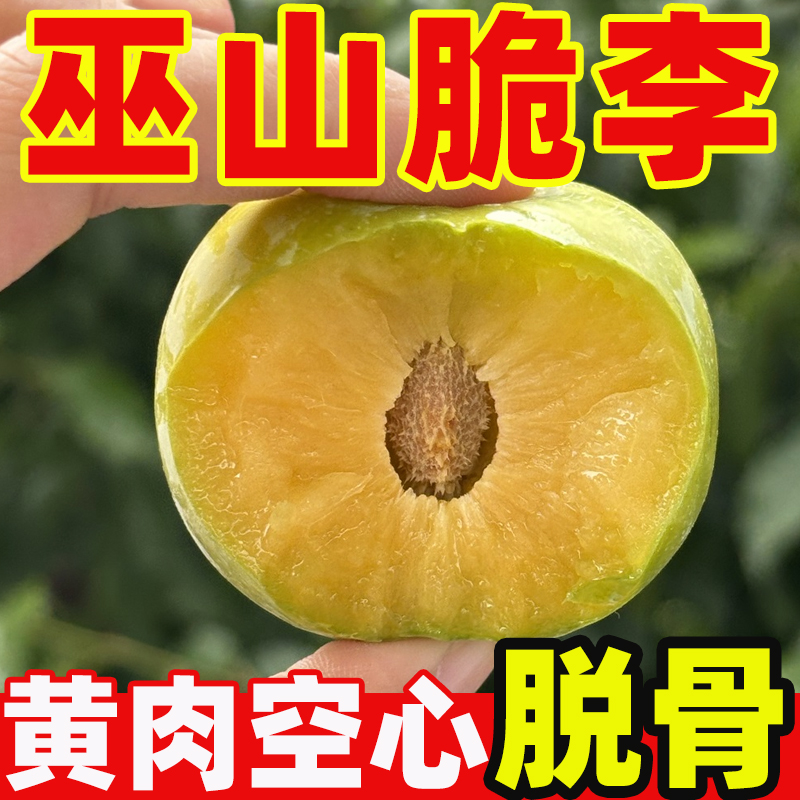 重庆巫山脆李脱骨青脆李新鲜应季水果脆甜爽口包邮