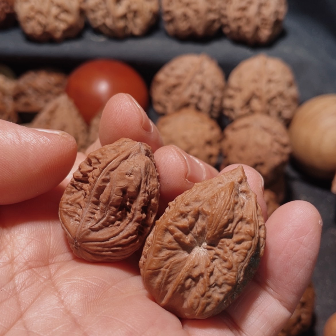 【闪购商品】把件文玩核桃东北楸子15