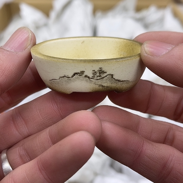 发发发发发发发发发疯