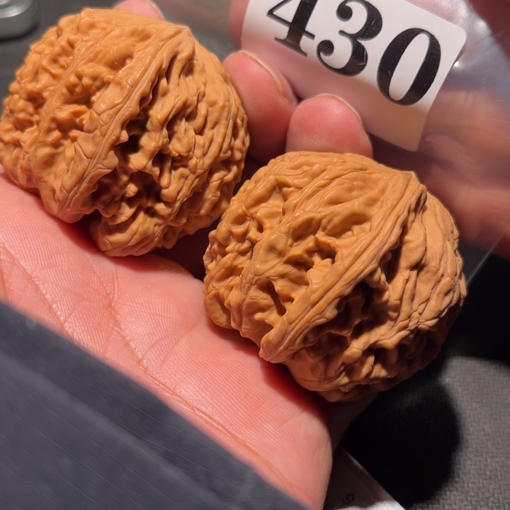 核桃1111111111111111