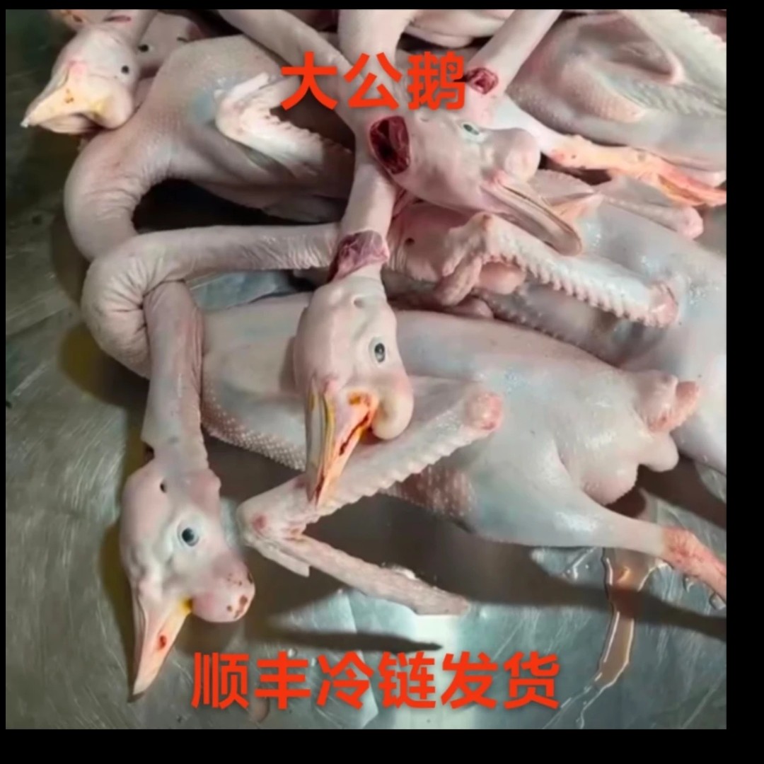 大鹅一斤一袋拼装
