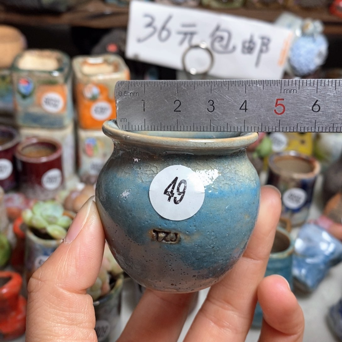 花盆拍5送一个小礼物