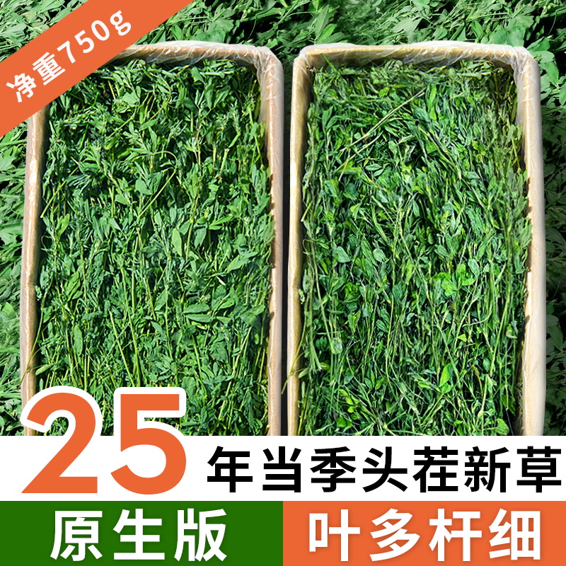 烘干紫花苜蓿草干草兔子食用草幼兔粮食龙猫荷兰猪饲料牧草用品