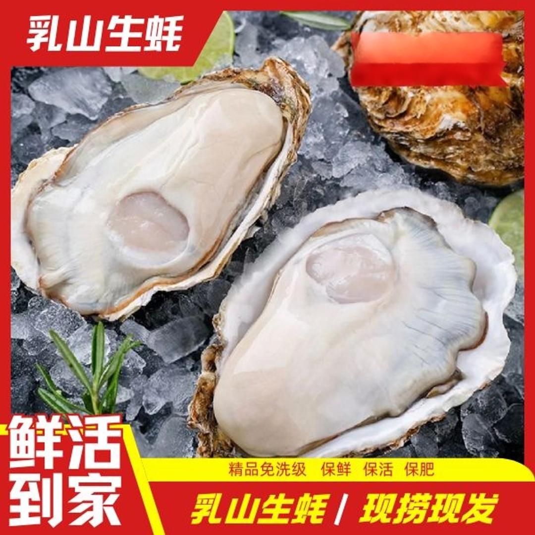 乳山特产精品生蚝 壳薄肉肥 刺身免洗级新鲜牡蛎海鲜水产5斤