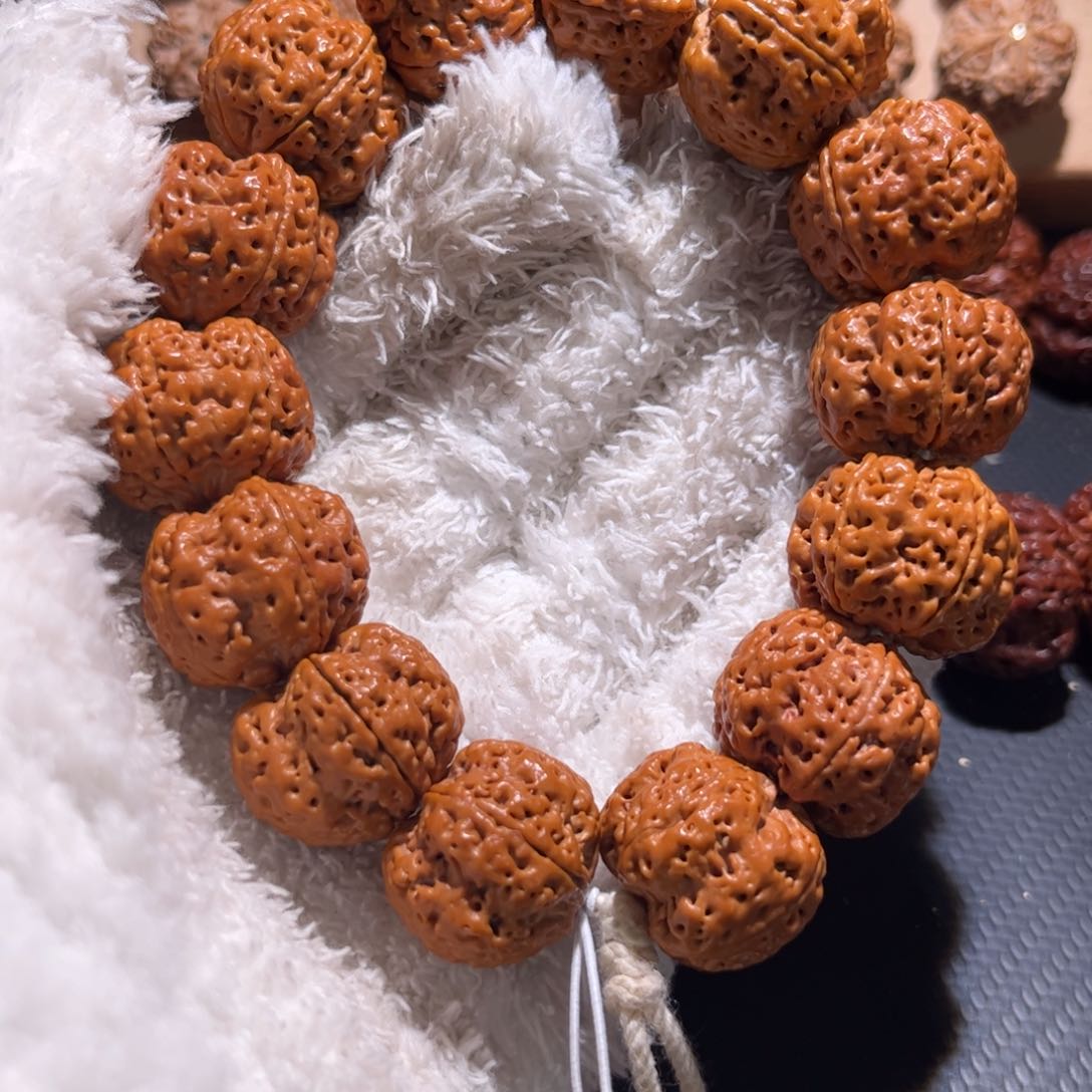 金刚菩提手串九龙梅花23