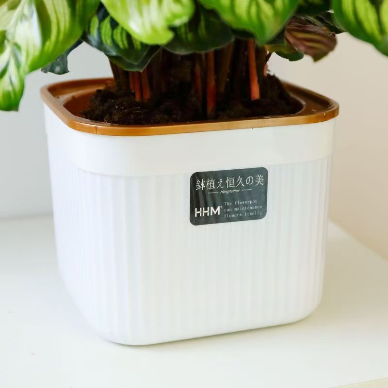 北欧风竖纹懒人自吸水花盆加厚侧面加水口水培花盆手工编织壁挂蓝