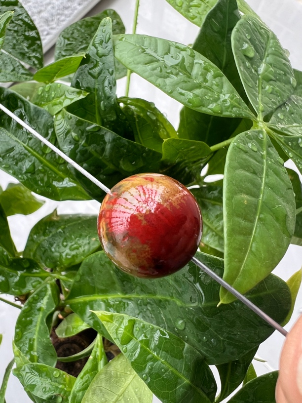 锦红包浆南红圆珠单珠17mm