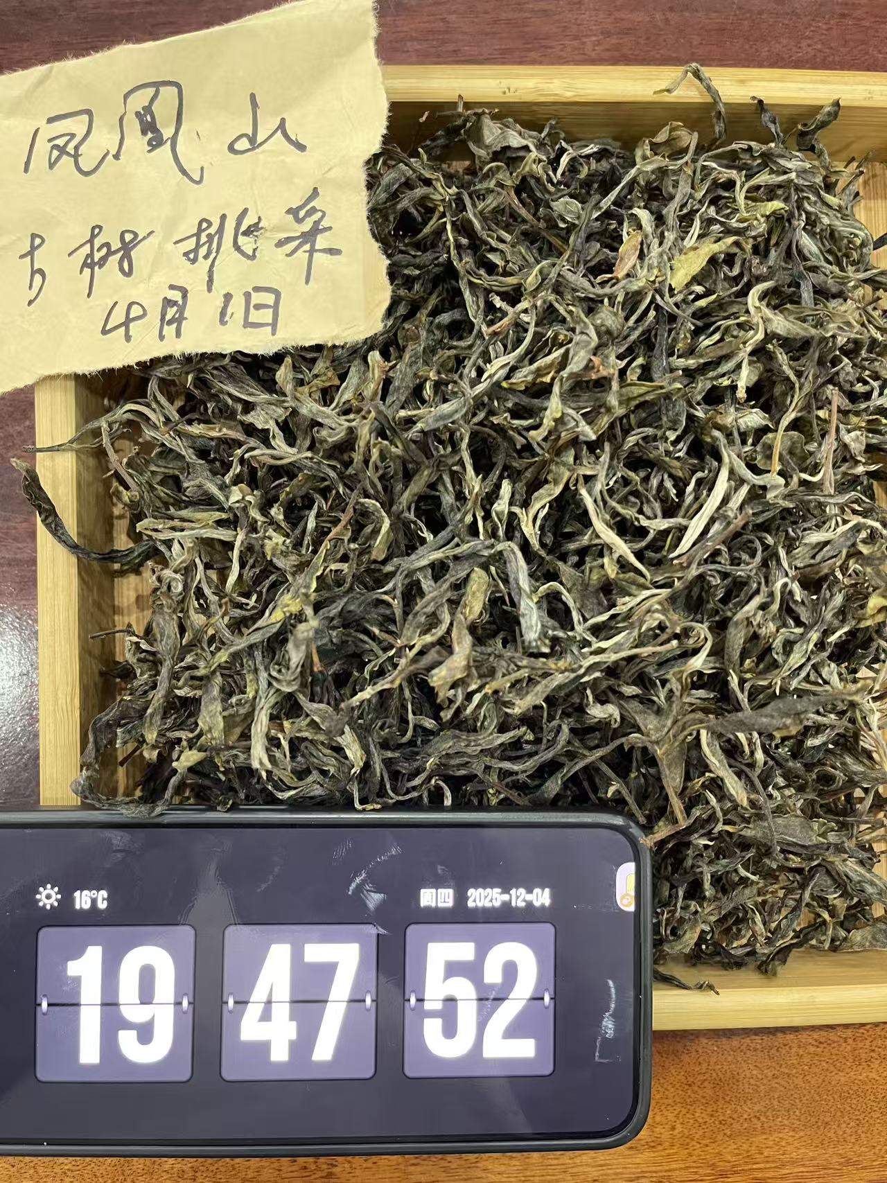 J2  2025年墨江凤凰山核心古树挑采春茶 普洱茶  散茶   25/12/04