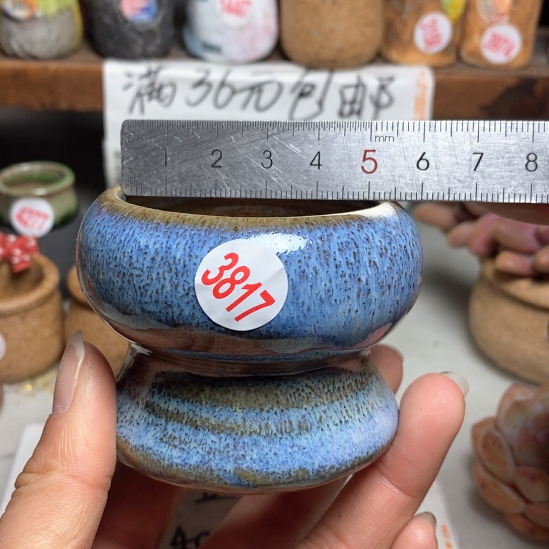 红陶拍5送一个小