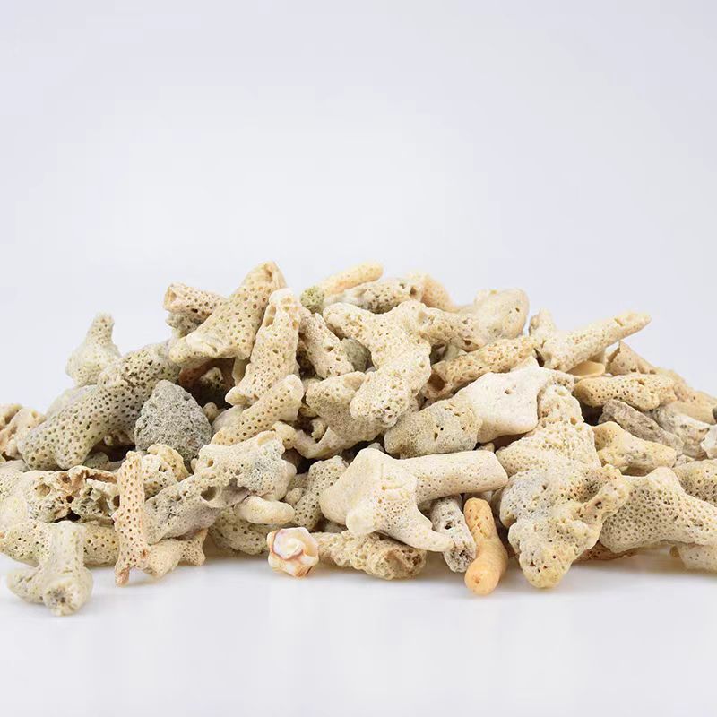 珊瑚骨滤材海缸专用过滤