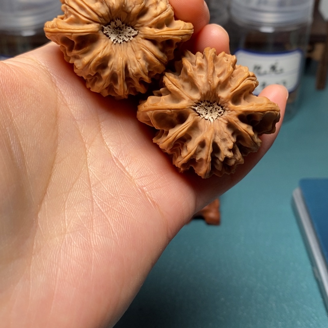 核桃44尺龙门涧核桃