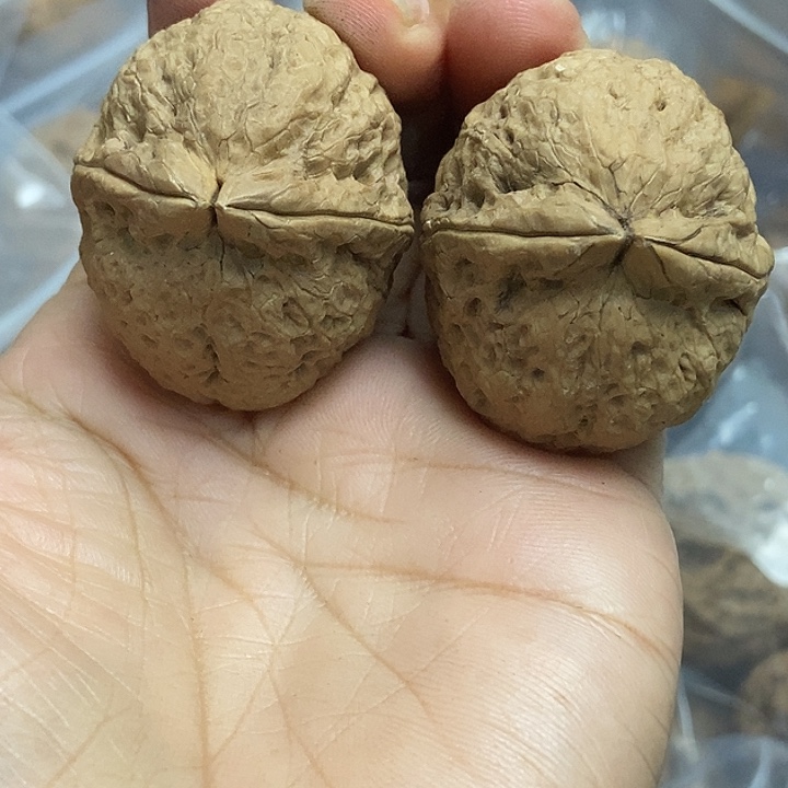 把件文玩核桃云南铁核桃基地44