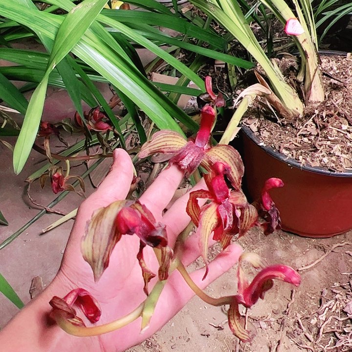 完全开放1111111111111