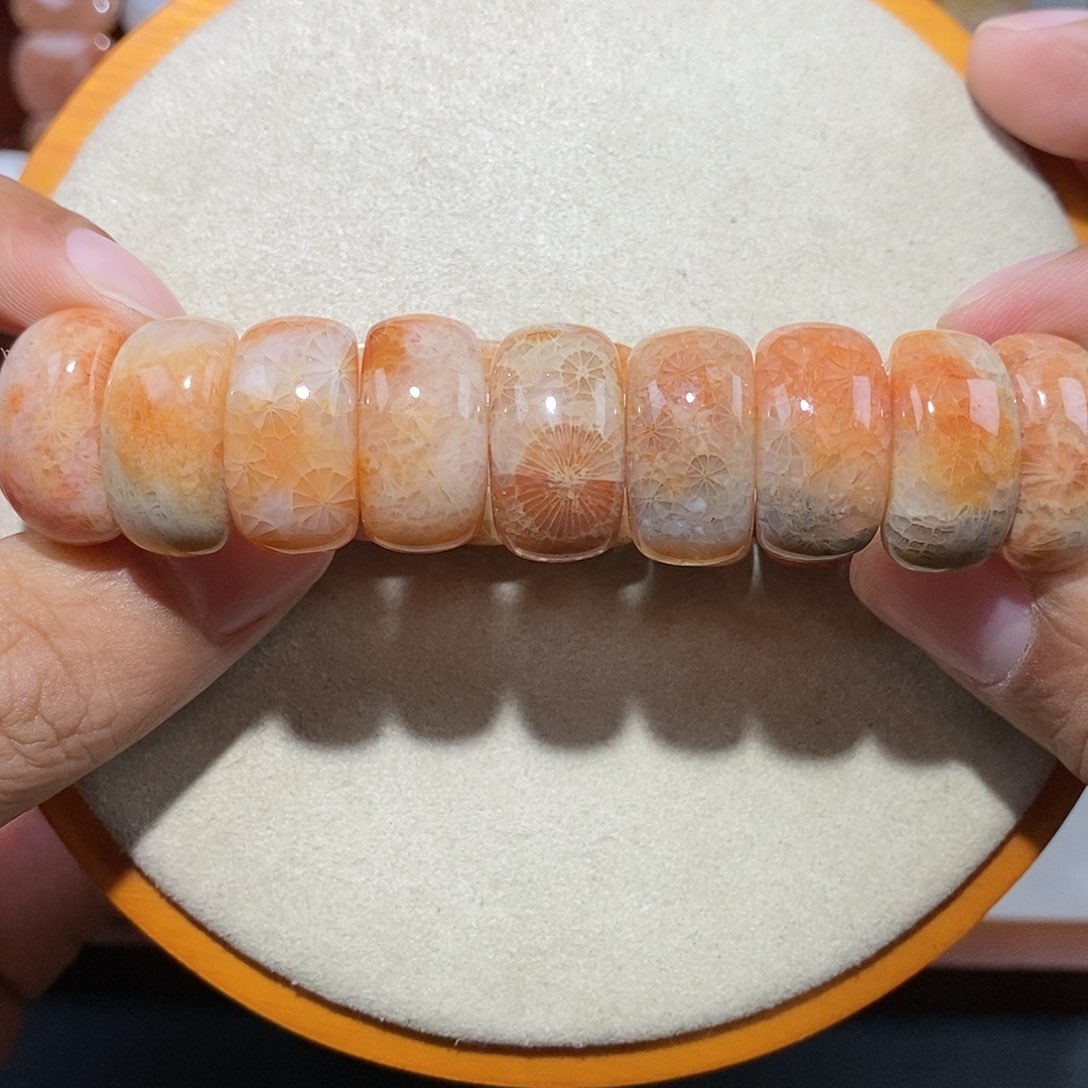 硅化珊瑚（珊瑚玉）手链未镶嵌冰蕾丝14