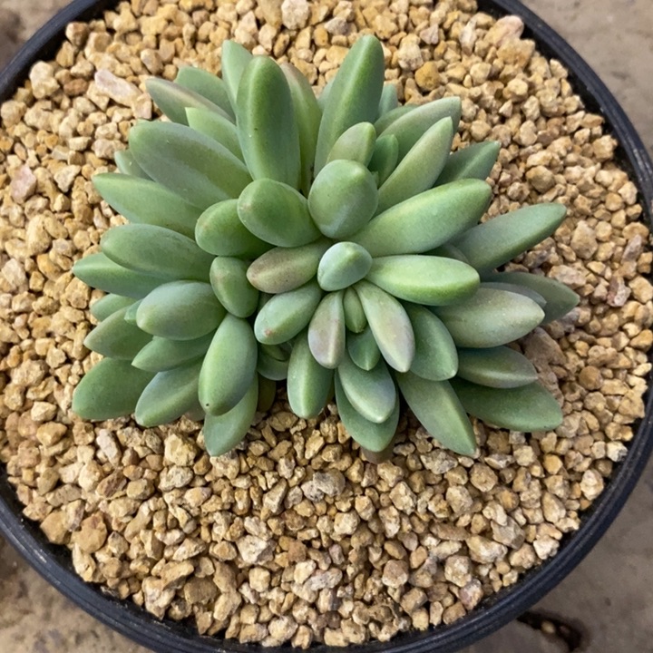 咱***肉888888888888888888