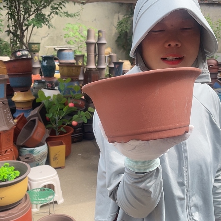 花盆紫砂花盆紫砂花盆紫砂