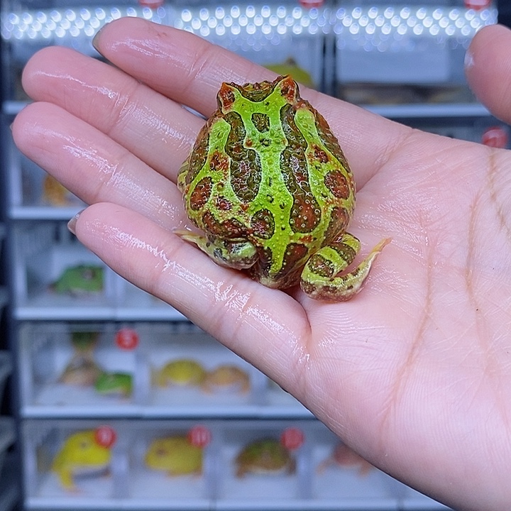 特价秒杀现货特价残