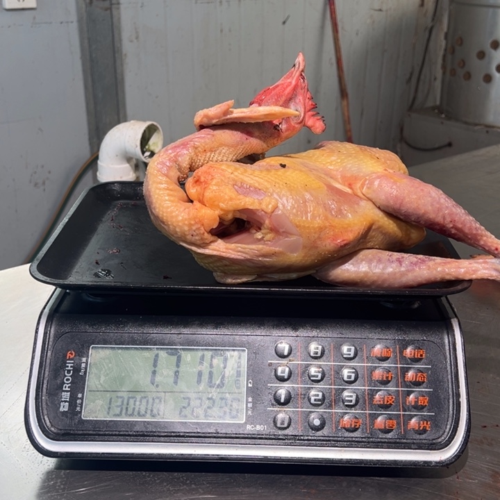 一号土鸡食用农产品中国大陆暖***师