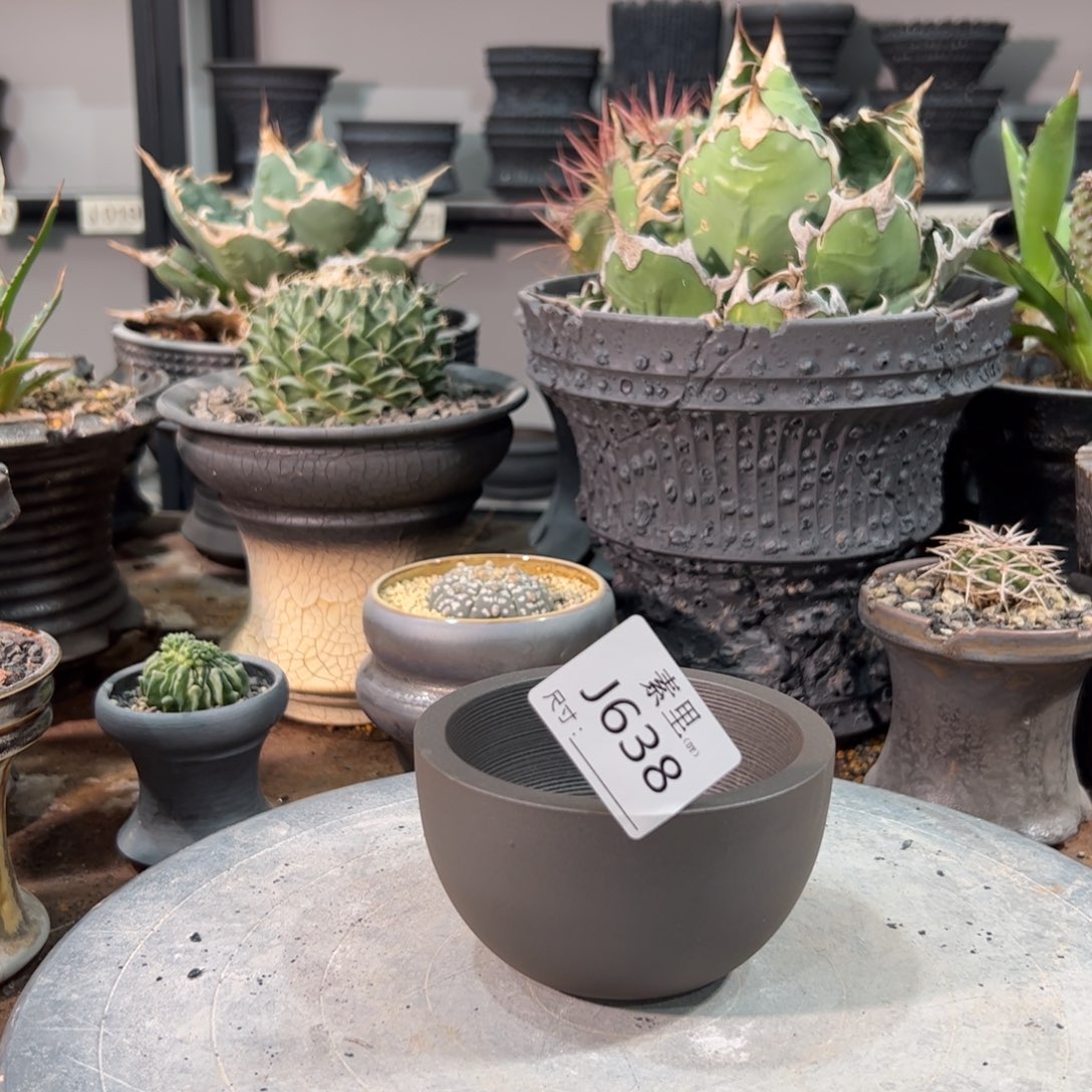 景德镇手工素里内口9高6