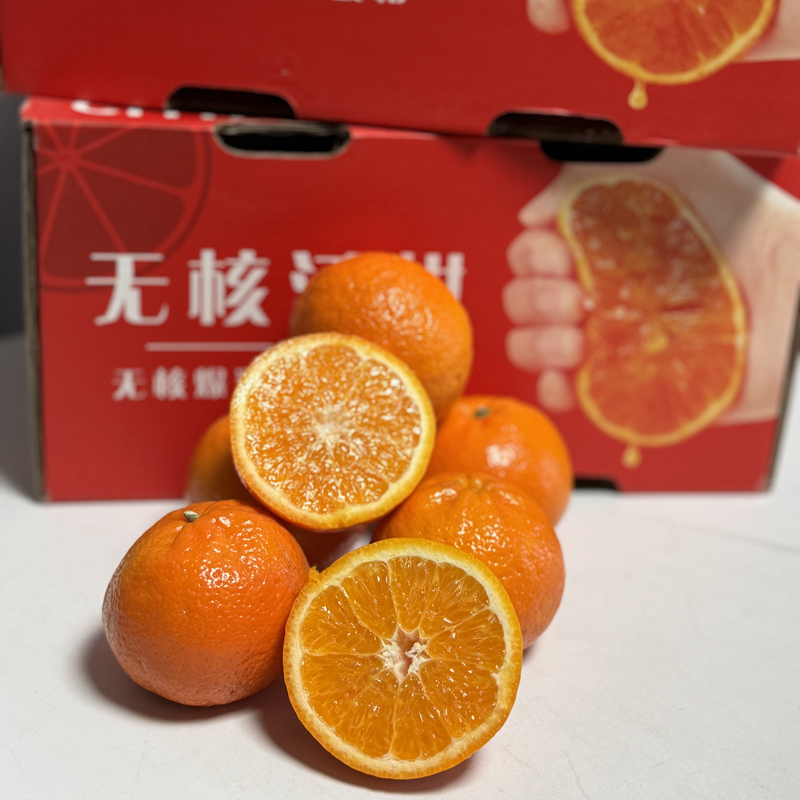 广西沃柑5.5斤毛重。爆汁甜 有的有籽有的无籽