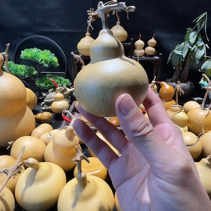 天坛顿送送送樱桃