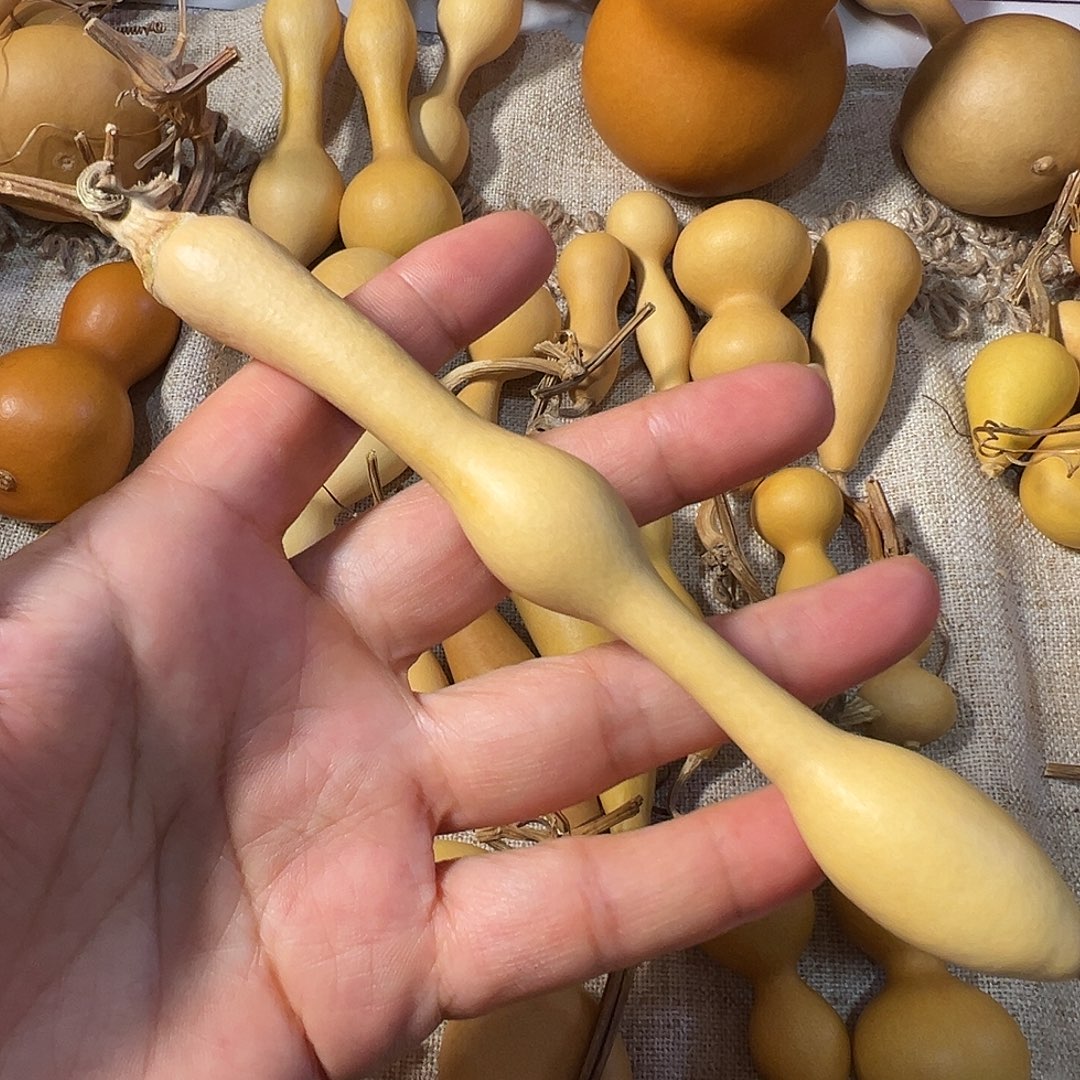 漂亮漂亮漂亮漂亮漂亮