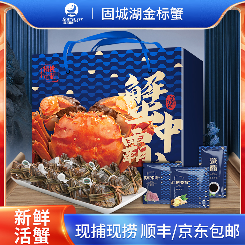 【活蟹】全母蟹 2.5两 6只+4只 星河湾正宗江苏金标蟹 礼盒A