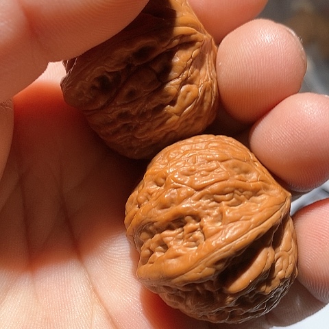 吊坠文玩核桃大**城铁锤