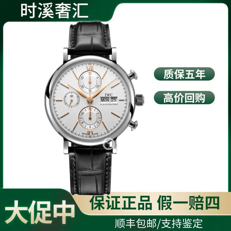 99新 IWC/万国 万国23年电子卡/柏涛菲诺系列IW391031